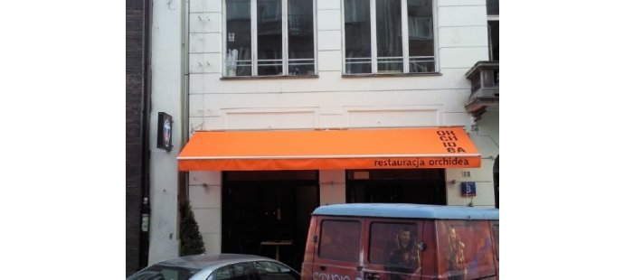 Markiza tarasowa orchidea